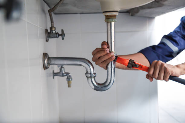 Best Clogged Drain Plumber  in Fresno, TX